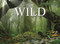 The Wild (The World's Most Spectacular Untamed Places) by Claudia Martin, 9781838862541