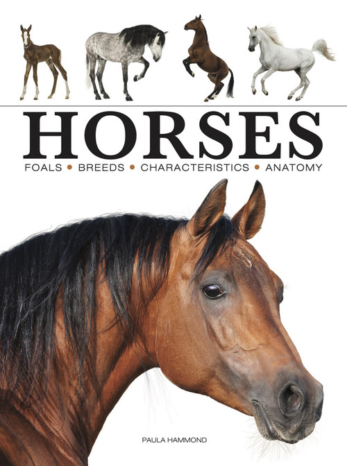 Horses - 9781838862596 by Paula Hammond, 9781838862596