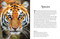 Tigers - 9781838862602 by Paula Hammond