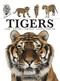 Tigers - 9781838862602 by Paula Hammond, 9781838862602