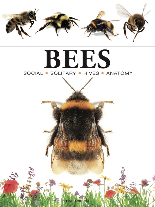 Bees (Heroes of the Garden) - 9781838863579 by Tom Jackson, 9781838863579