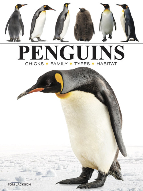 Penguins - 9781838863609 by Tom Jackson, 9781838863609