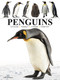 Penguins - 9781838863609 by Tom Jackson, 9781838863609
