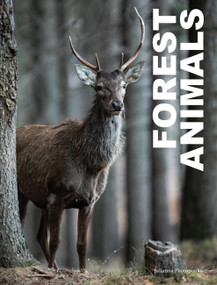 Forest Animals - 9781838863654 by Julianna Photopoulos, 9781838863654