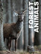 Forest Animals - 9781838863654 by Julianna Photopoulos, 9781838863654