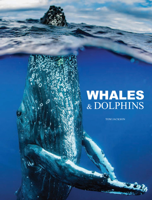 Whales & Dolphins - 9781838864248 by Tom Jackson, 9781838864248