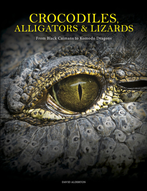 Crocodiles, Alligators & Lizards (From Black Caimans to Komodo Dragons) by David Alderton, 9781838864286
