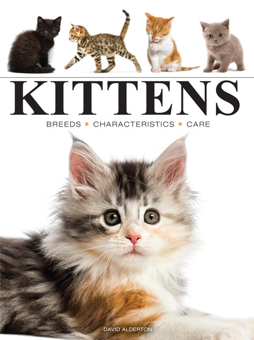 Kittens by David Alderton, 9781838864415