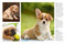 Puppies - 9781838864422 by Tom Jackson