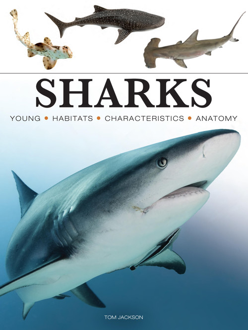Sharks & Underwater Predators - 9781838864439 by Tom Jackson, 9781838864439