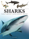Sharks & Underwater Predators - 9781838864439 by Tom Jackson, 9781838864439