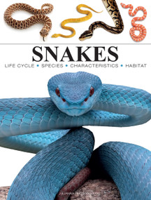 Snakes (From Vipers to Boa Constrictors) - 9781838864446 by Julianna Photopoulos, 9781838864446