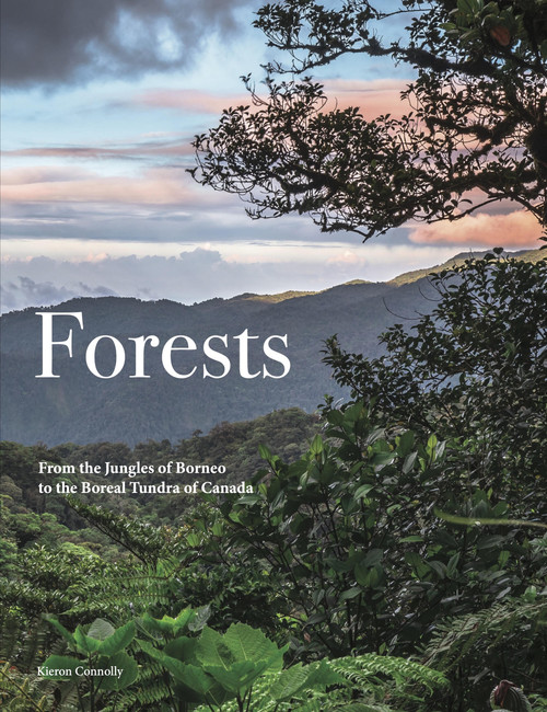 Forests (From the Amazon Rainforest to the Siberian Taiga) - 9781838865139 by Kieron Connolly, 9781838865139