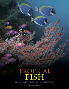 Tropical Fish (From Stingrays to Clown Fish) by David Alderton, 9781838865511