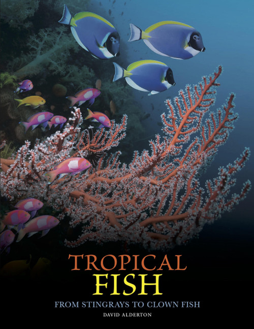 Tropical Fish (From Stingrays to Clown Fish) by David Alderton, 9781838865511