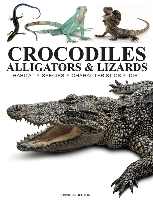 Crocodiles, Alligators & Lizards (From Black Caimans to Komodo Dragons) by David Alderton, 9781838866051