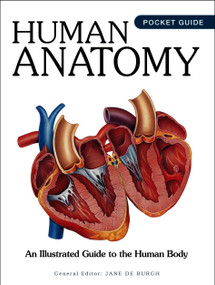 Human Anatomy (An Illustrated Guide to the Human Body) by Jane de Burgh, 9781838866525