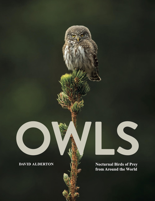 Owls (Nocturnal Birds of Prey from Around the World) by David Alderton, 9781838866600