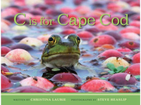 C is for Cape Cod by Christie Laurie, Steve Heaslip, 9781939017130