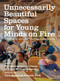 Unnecessarily Beautiful Spaces for Young Minds on Fire (How 826 Valencia, and Dozens of Centers Like It, Got Built - and Why) by Dave Eggers, The International Alliance of Youth Writing Centers, Amanda Uhle, 9781944211820