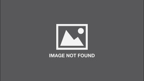 Still Life - 9781952119927 by Jay Hopler