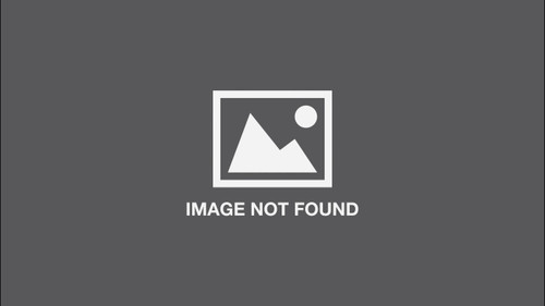 Still Life - 9781952119927 by Jay Hopler, 9781952119927