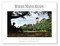 Where Maine Reads (Images of and essays by Maine readers-young, old, and in between) by Buddy Doyle, 9798218338503