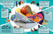 An Excellent Encyclopedia of Your Senses (Think You Have Just Five Senses? Think Again!) by DK, 9798217304769
