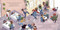 Turkey on the Run! by Alayne Kay Christian, Neha Rawat, 9798217039869