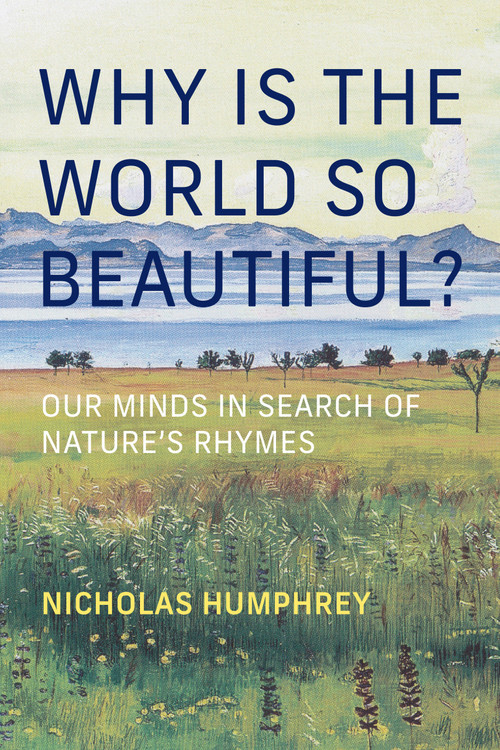 Why Is the World So Beautiful? (Our Minds in Search of Nature's Rhymes) by Nicholas Humphrey, 9780262056588