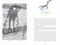 The Wump by Tony DiTerlizzi, Tony DiTerlizzi, 9798217004911