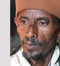 Portraits - 9781644282168 by Tom  Lutz, 9781644282168
