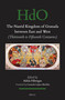 The Nasrid Kingdom of Granada between East and West ((Thirteenth to Fifteenth Centuries)) by Consuelo López-Morillas, Adela Fábregas, 9789004760851