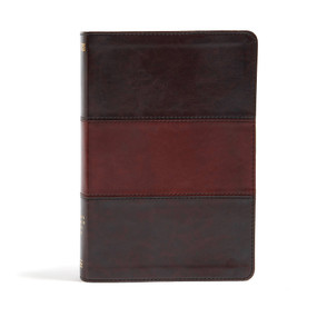 NIV Rainbow Study Bible, Saddle Brown LeatherTouch by Holman Bible Staff, 9781433616556