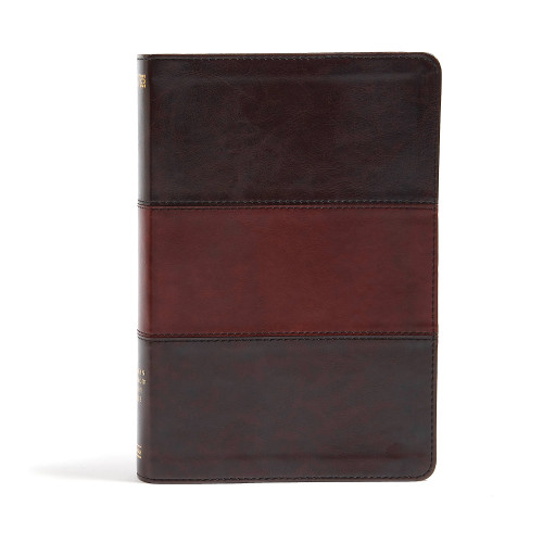 NIV Rainbow Study Bible, Saddle Brown LeatherTouch Indexed by Holman Bible Staff, 9781433616563