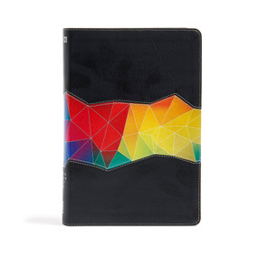 NIV Rainbow Study Bible, Kaleidoscope Black LeatherTouch by Holman Bible Staff, 9781433616693