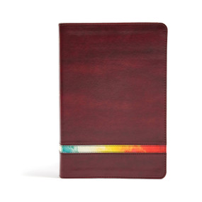 NIV Rainbow Study Bible, Maroon LeatherTouch, Indexed by Holman Bible Staff, 9781433646102