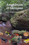 Amphibians of Suriname by Paul E. Ouboter, Rawien Jairam, 9789004210752
