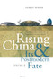 Rising China and Its Postmodern Fate, Volume II (Grandeur and Peril in the Next World Order) by Charles Horner, 9789004338326