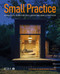 Small Practice (A practical guide for solo, micro and small practices) by Liz King, Marianne Davys, 9781915722553