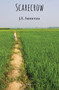 Scarecrow - 9789004468146 by J.E. Sumerau, 9789004468146
