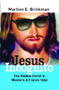Jesus Incognito (The Hidden Christ in Western Art since 1960) by Martien E. Brinkman, 9789042036239
