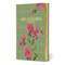 Mrs. Dalloway - 9781454966012 by Virginia Woolf
