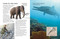Evolution (How We and All Living Things Came to Be) by Daniel Loxton, Daniel Loxton, 9781525315640