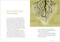 Forest Language, A (Words That Illuminate the Astonishing World of Trees) by Hannah Fries, Maria Popova, Henrike Lendowski, 9781635869811