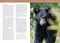 Wildlife of the Southeast (A Timber Press Field Guide) by Sam Giovanetti, 9781643263953