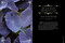 Darkness in Bloom (A Gothic Guide to Dramatic and Moody Plants) by Chloe Hurst, 9781643265551