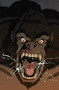 Escape from Skull Island by Simon Furman, Christopher Jones, 9781787743922