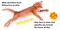 What Do Kittens Love? by D. J. Steinberg, 9780593754498