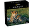 National Geographic: Nature 2027 DTD Calendar by National Geographic, 9780789349071